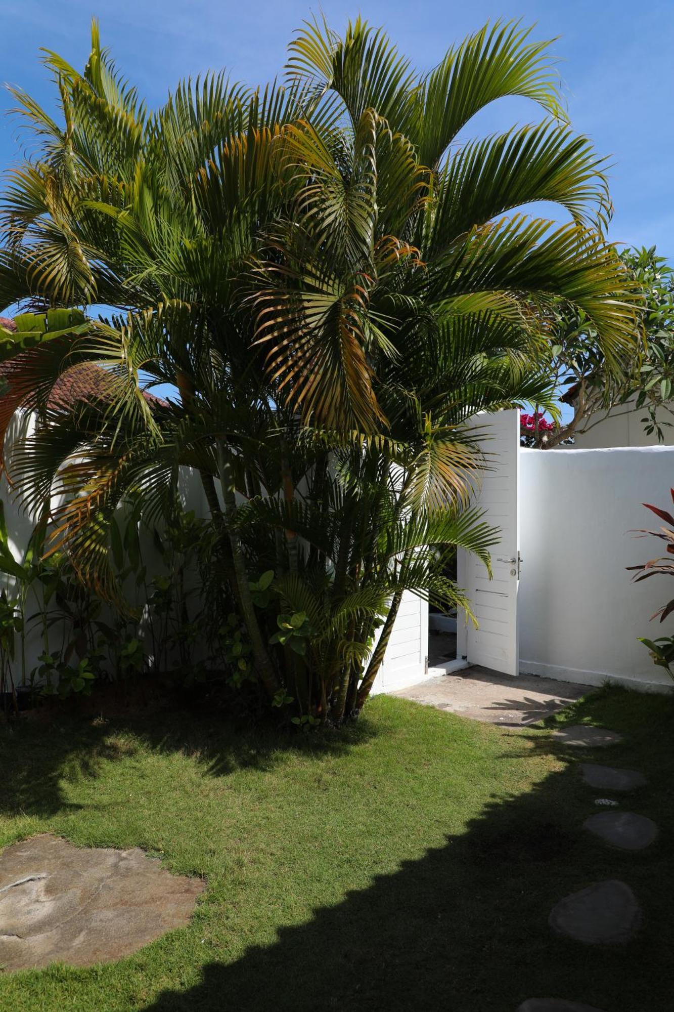 Villa Tom & Lucie Bingin Beach Uluwatu Extérieur photo
